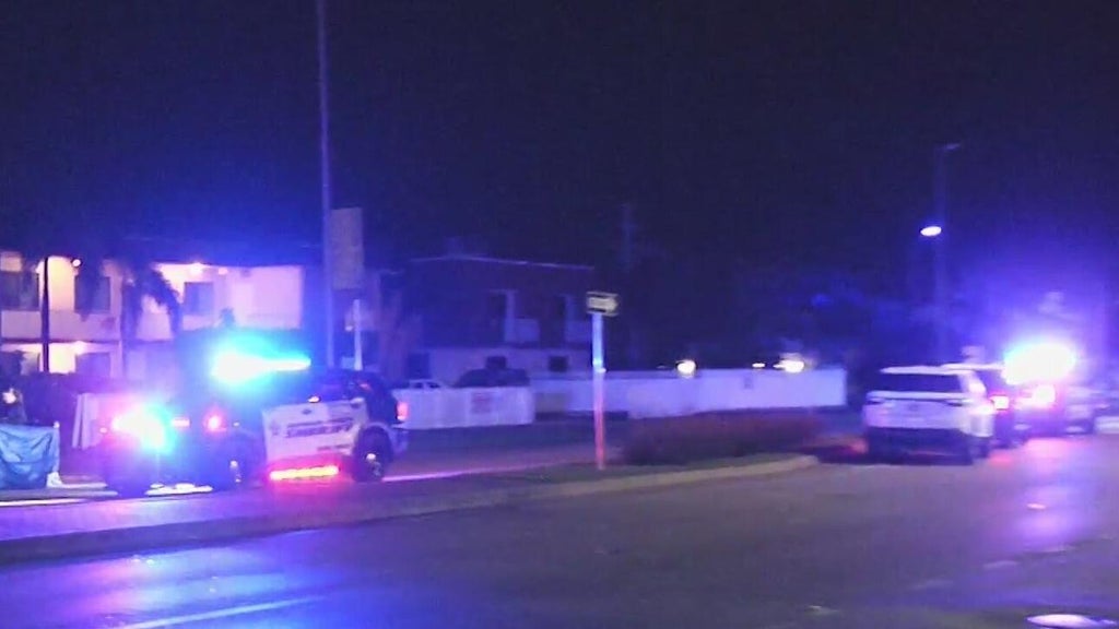 Woman accused of killing man in Dania Beach hit-and-run, BSO says — CBS Miami, Tiburon Community news