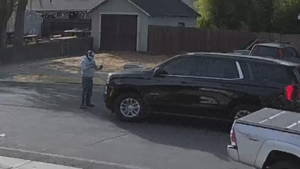 Woodland police dispute DHS account of ICE agent's collision with pedestrian — CBS Bay Area (KPIX), Tiburon Health news
