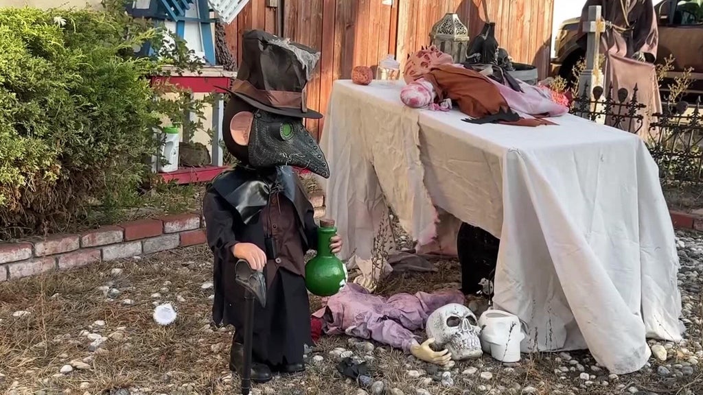 Halloween decorations worth roughly $700 stolen from San Leandro home — CBS Bay Area (KPIX), Tiburon Schools news