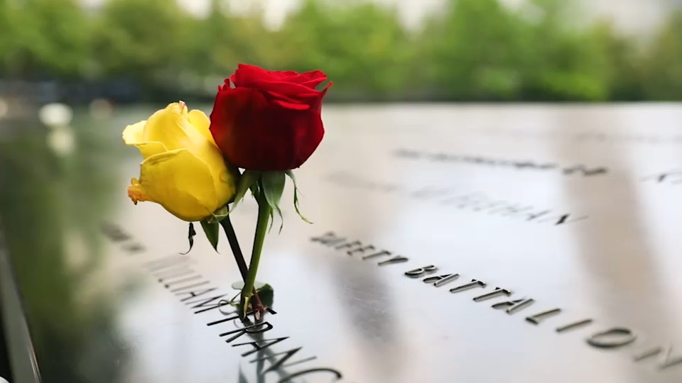 Second 9/11 victim identified with breakthrough genetic genealogy, NYC officials say
— ABC 7 Bay Area, Tiburon Community news