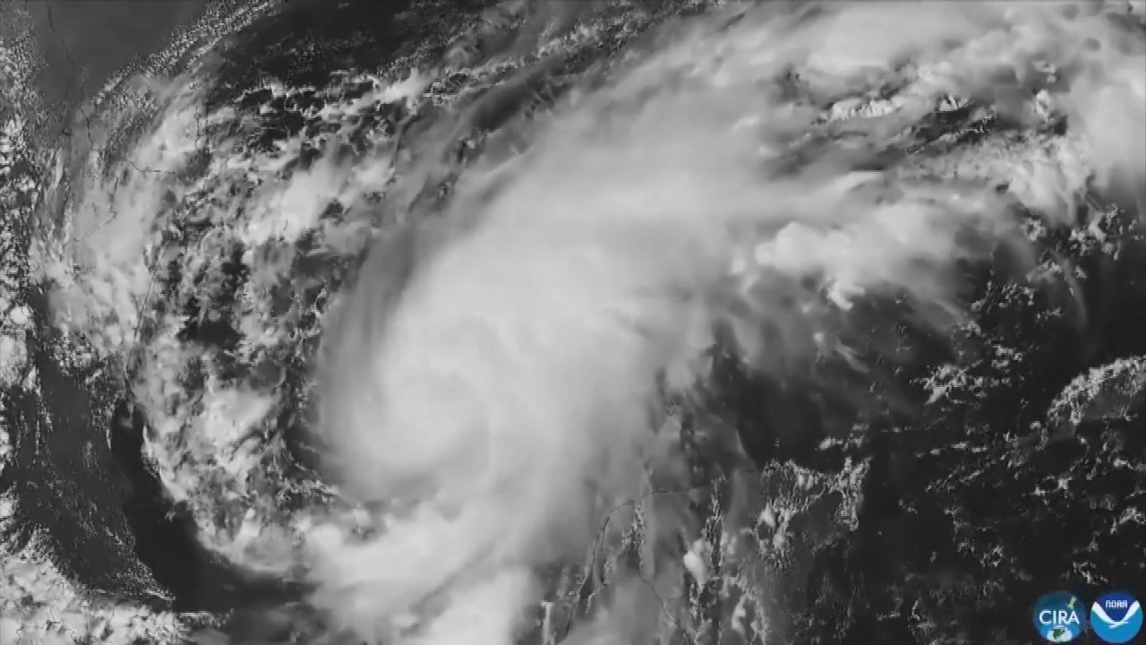 Hurricane Isaias: Residents board up windows and National Guard troops deploy as storm nears US Gulf Coast
— ABC 7 Bay Area, Tiburon Sports news