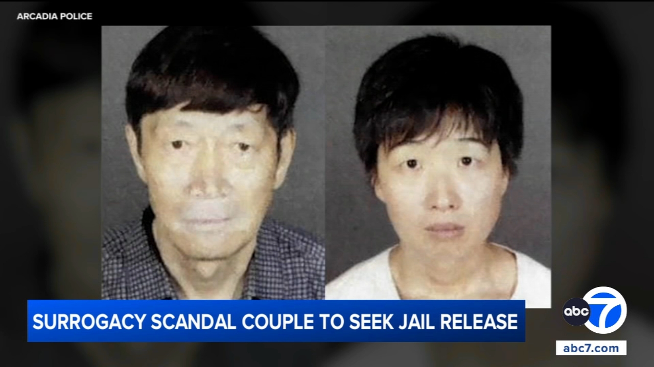 California couple accused in surrogacy scandal to seek release from jail, attorneys say
       — ABC 7 Bay Area, Tiburon Community news