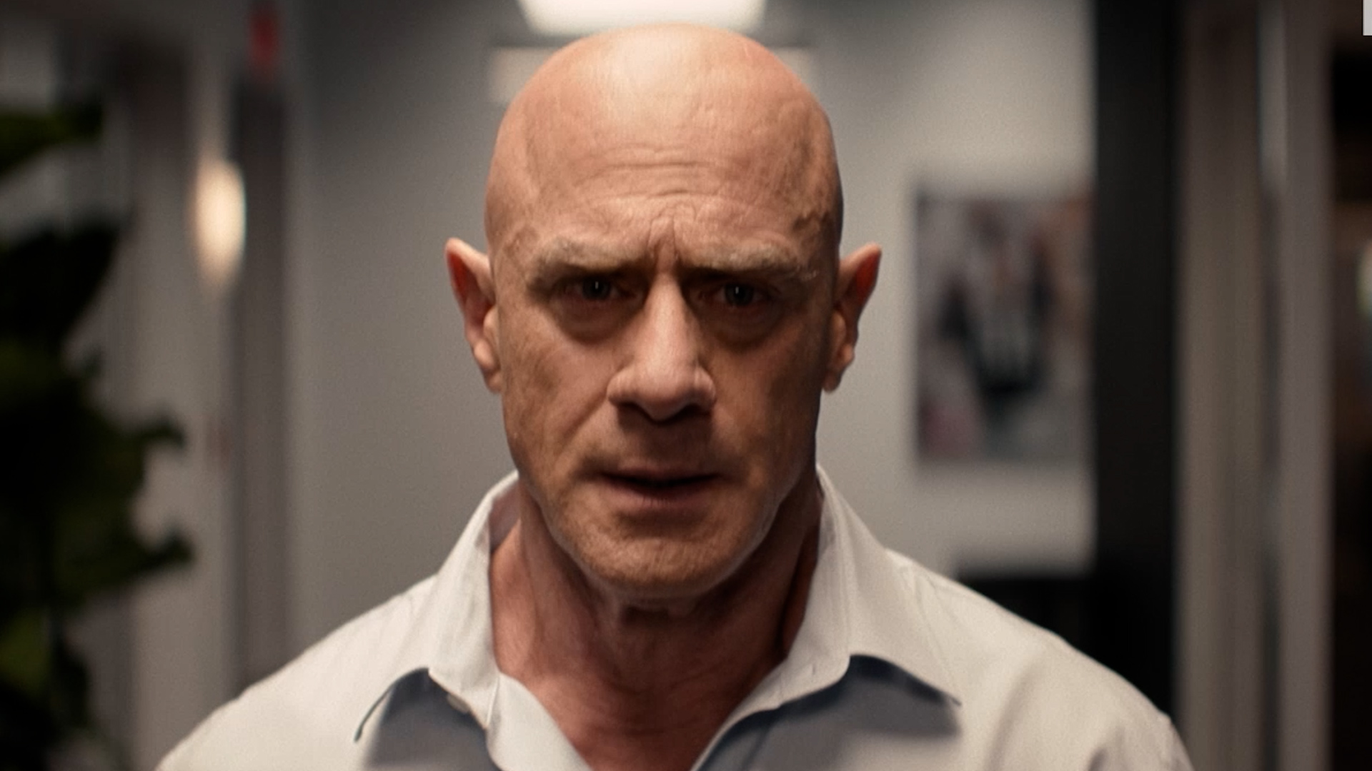 Christopher Meloni, William H. Macy talk football, family in 'The Land' trailer
— ABC 7 Bay Area, Tiburon Sports news