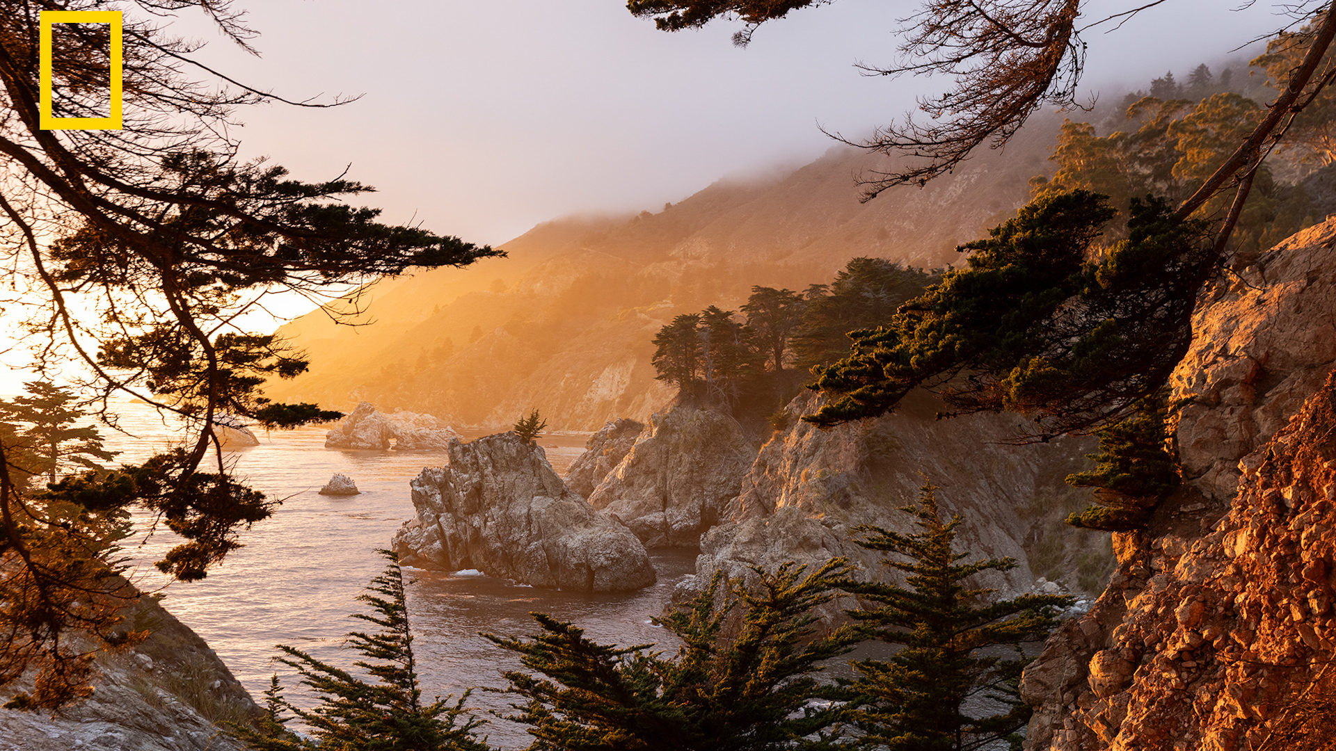 USA destinations included in National Geographic's best places in the world to visit in 2027
— ABC 7 Bay Area, Tiburon Community news