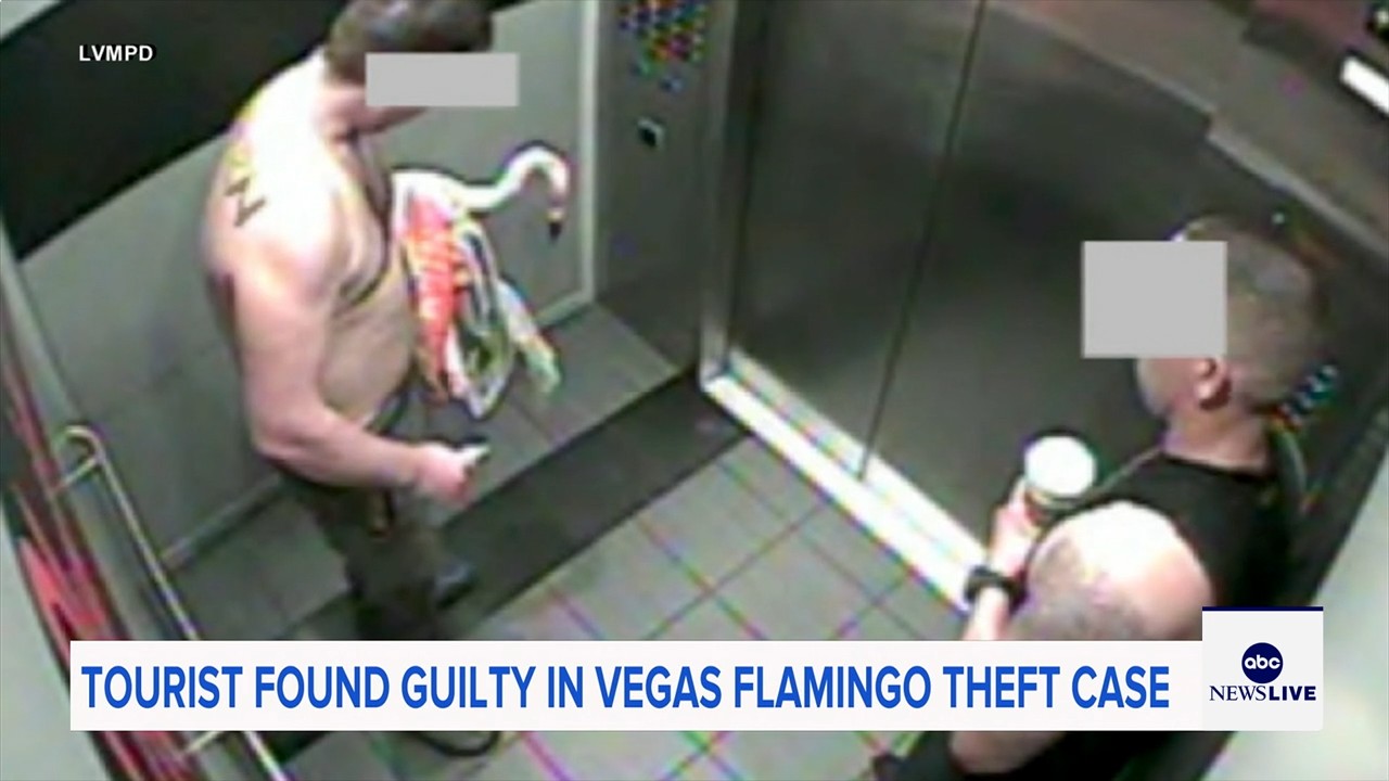 Man who snatched Peachy the flamingo from Las Vegas hotel exhibit found guilty of animal cruelty
— ABC 7 Bay Area, Tiburon Arts news