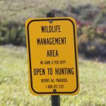 Pointers for Public Land Hunting — NewsDakota, Tiburon Sports news