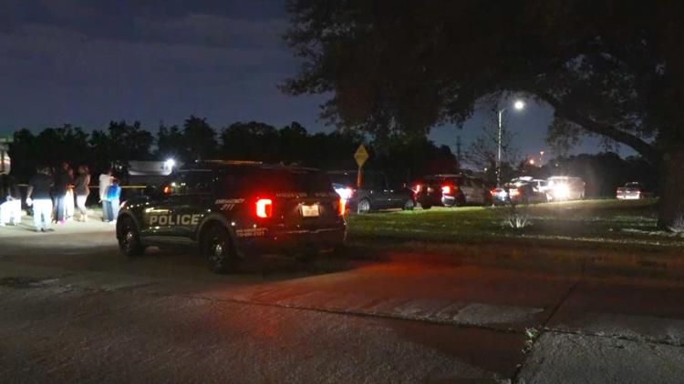 HPD: Man dies after going for swim in Sims Bayou in southeast Houston — KHOU 11 (Houston), Tiburon Sports news