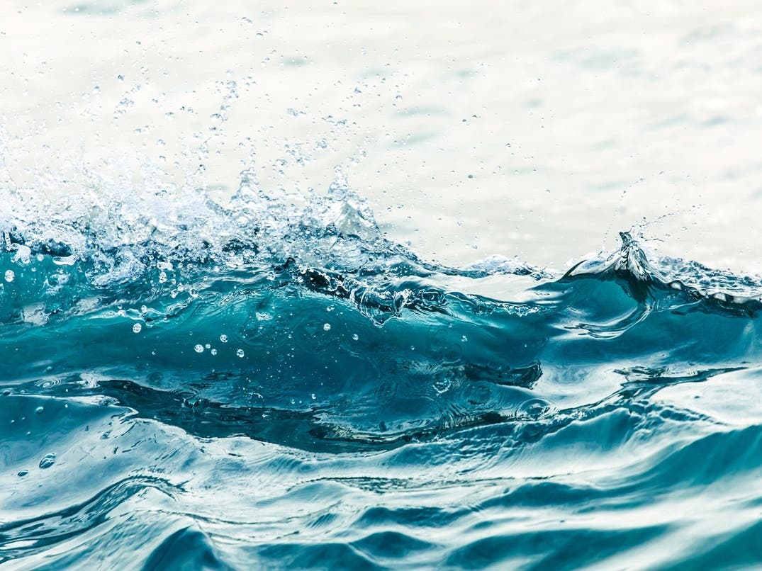 Deadly Hostage Standoff Details | Kelvin Wave Brings Record Sea Levels: Patch PM — San Francisco Patch, Tiburon Community news