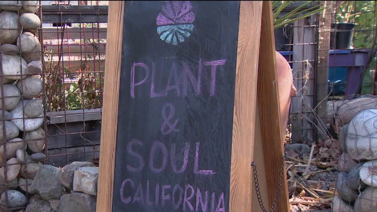 San Jose community garden faces possible eviction — KTVU FOX 2 Bay Area, Tiburon Schools news