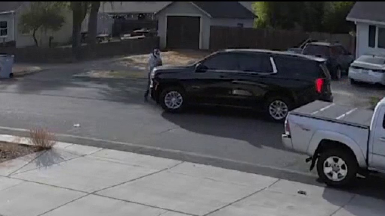 Pedestrian hit by federal immigration agent's vehicle in Yolo County — KTVU FOX 2 Bay Area, Tiburon Community news