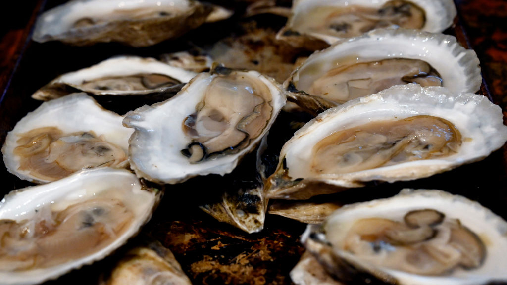 Sewage leak temporarily halts Tomales Bay oyster harvest — KTVU FOX 2 Bay Area, Tiburon Business news