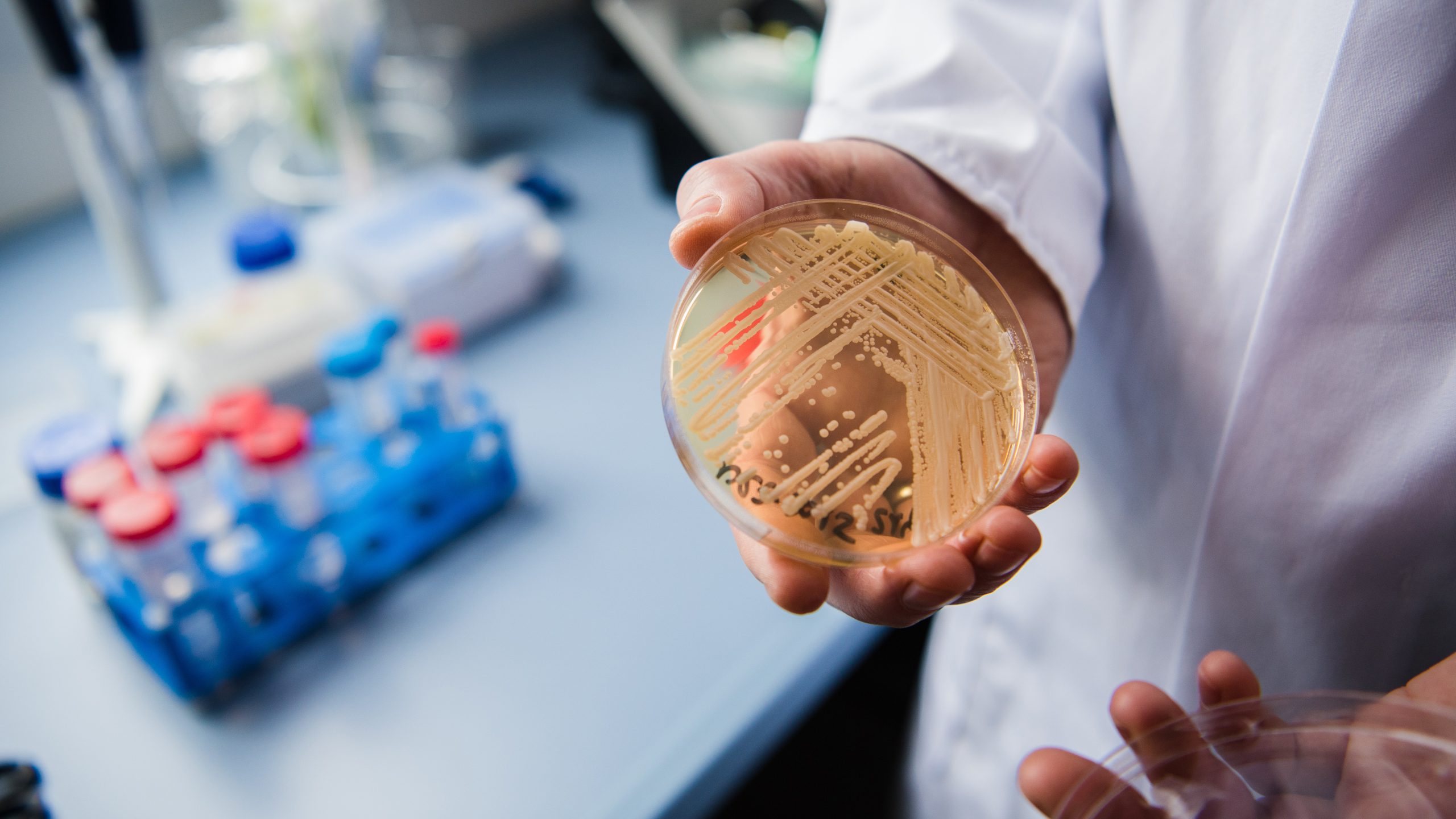 New study reveals why dangerous fungus is so difficult to treat — KTVU FOX 2 Bay Area, Tiburon Community news