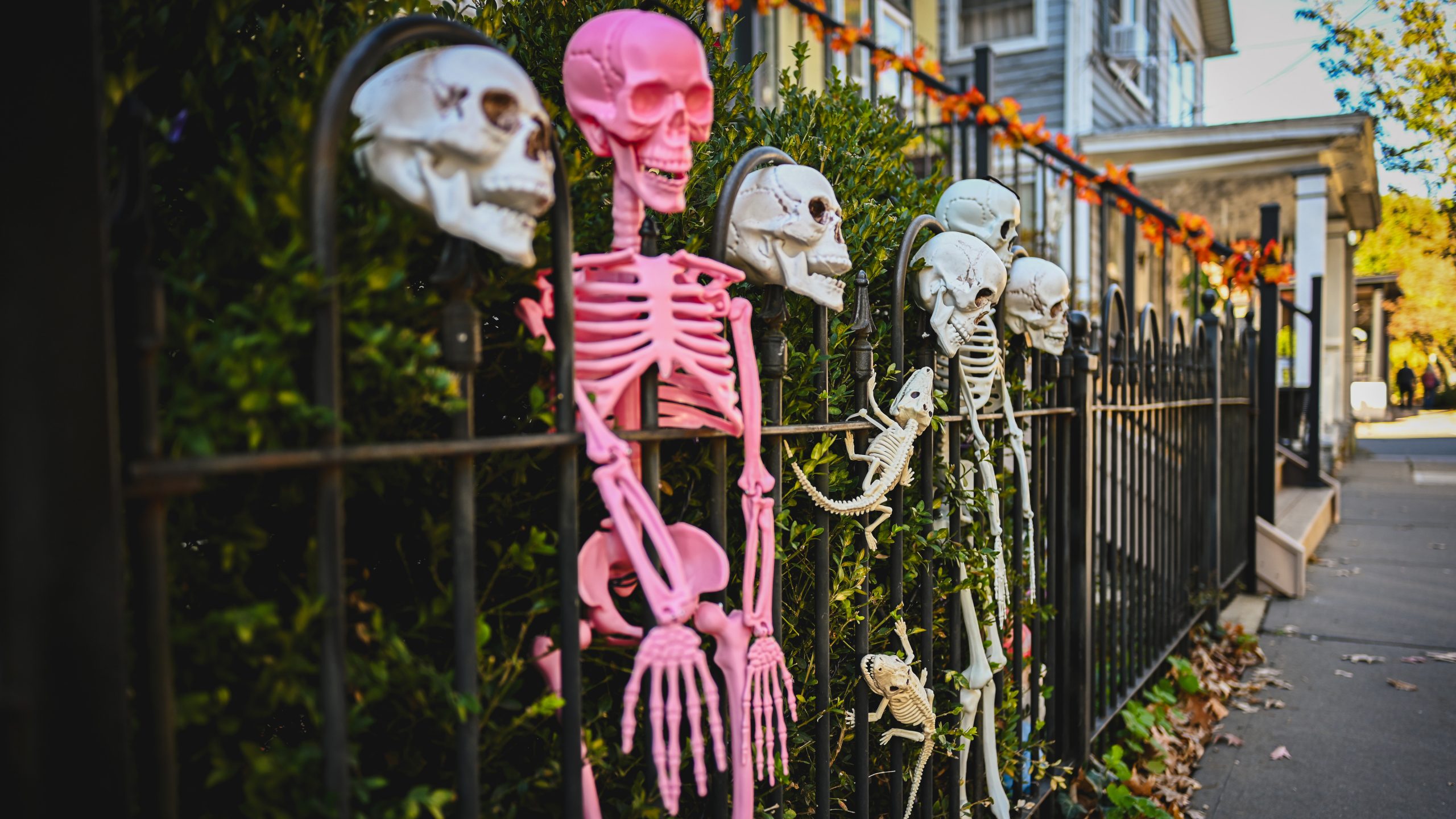 America's best cities for Halloween, ranked — KTVU FOX 2 Bay Area, Tiburon Community news